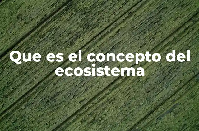 Que es el Concepto Del Ecosistema 2 Componentes que forman un entorno biológico