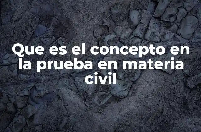 Que es el Concepto en la Prueba en Materia Civil