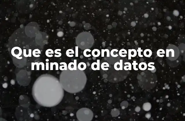 Que es el Concepto en Minado de Datos