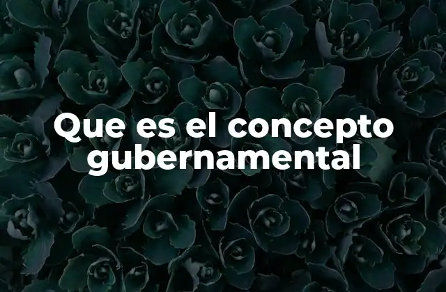 Que es el Concepto Gubernamental