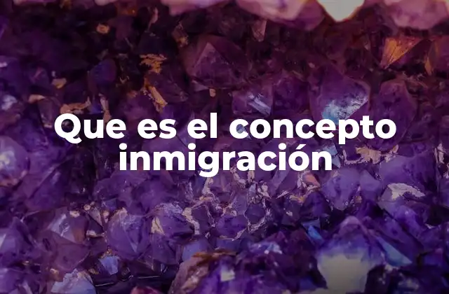 Que es el Concepto Inmigración
