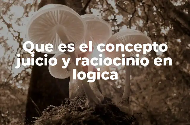 Que es el Concepto Juicio y Raciocinio en Logica