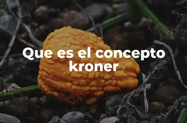 Que es el Concepto Kroner