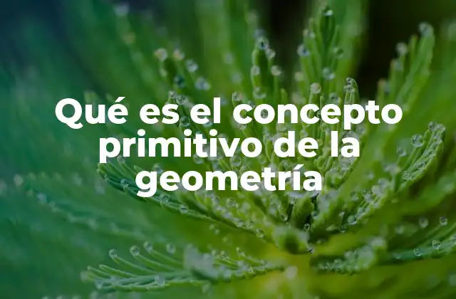 Qué es el Concepto Primitivo de la Geometría