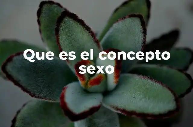 Que es el Concepto Sexo