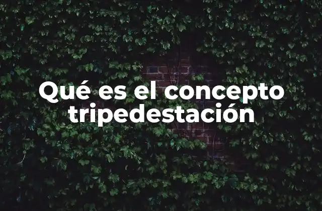 Qué es el Concepto Tripedestación