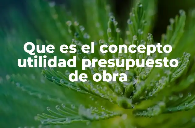 Que es el Concepto Utilidad Presupuesto de Obra