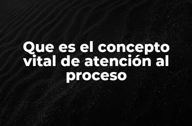 Que es el Concepto Vital de Atención Al Proceso