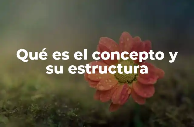 Qué es el Concepto y Su Estructura