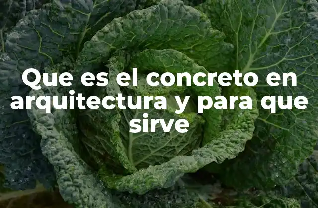Que es el Concreto en Arquitectura y para que Sirve