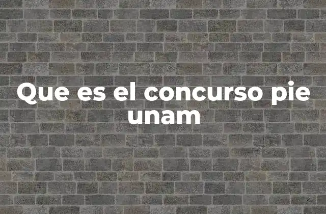 Cómo funciona el concurso PIE UNAM