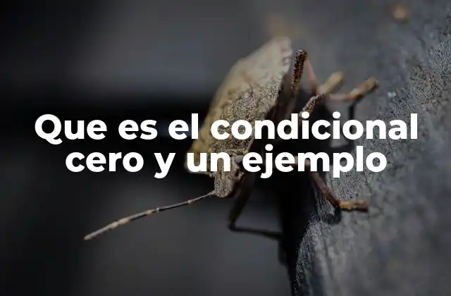 Que es el Condicional Cero y un Ejemplo