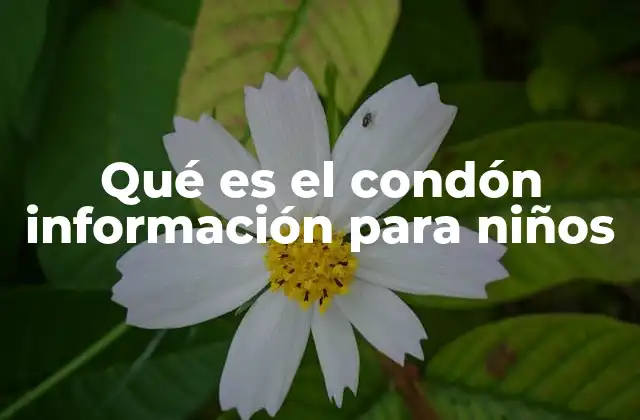 Qué es el Condón Información para Niños