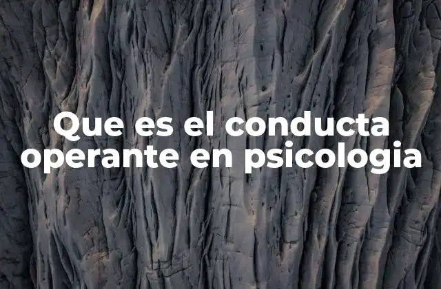 Que es el Conducta Operante en Psicologia