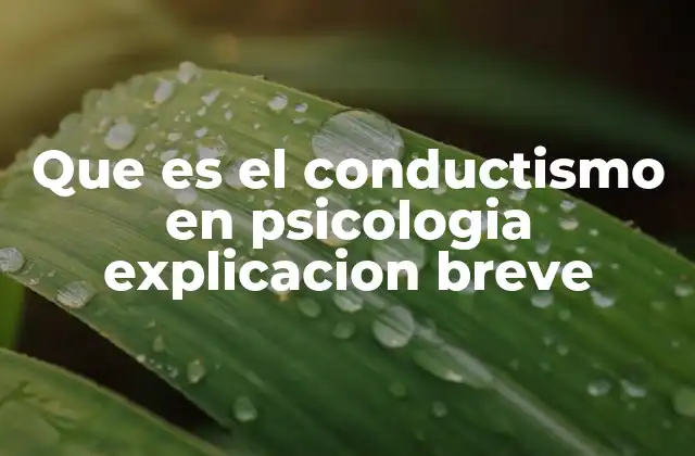 Que es el Conductismo en Psicologia Explicacion Breve