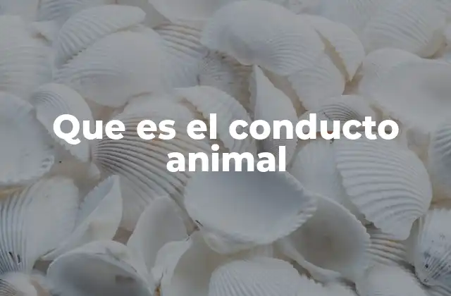Que es el Conducto Animal