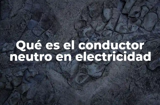Qué es el Conductor Neutro en Electricidad