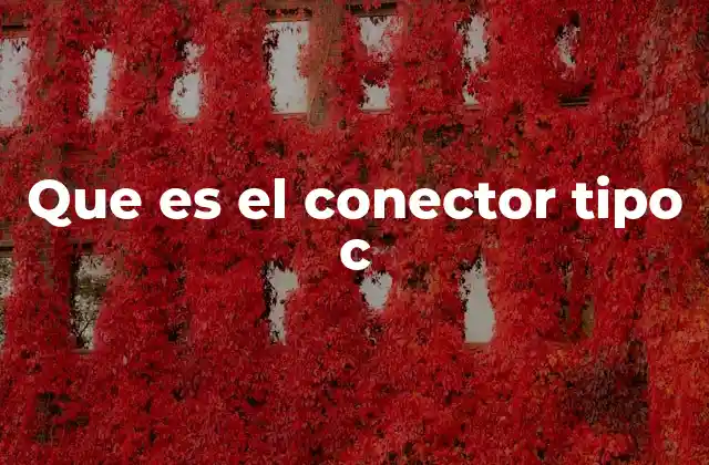Que es el Conector Tipo C