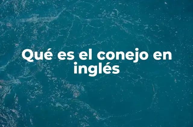 Qué es el Conejo en Inglés
