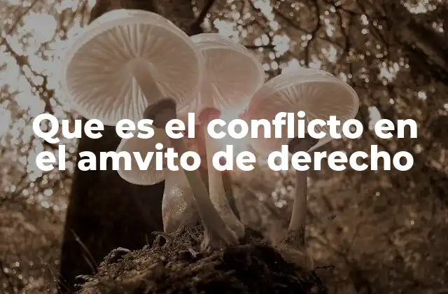 Que es el Conflicto en el Amvito de Derecho