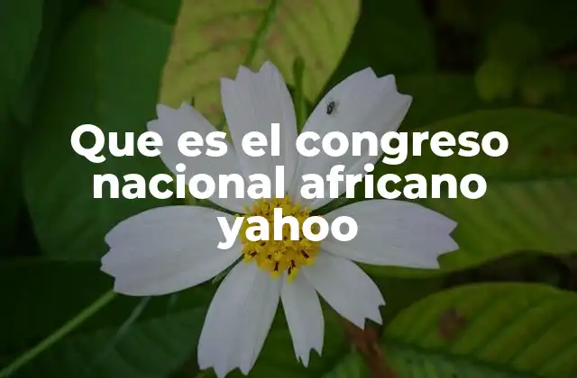 Que es el Congreso Nacional Africano Yahoo