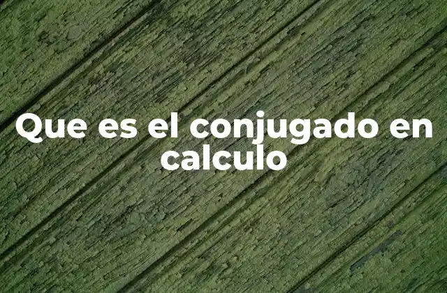 Que es el Conjugado en Calculo