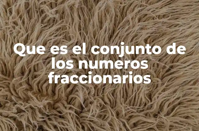 Que es el Conjunto de los Numeros Fraccionarios