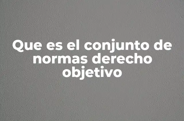 Que es el Conjunto de Normas Derecho Objetivo