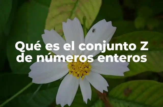 Qué es el Conjunto Z de Números Enteros