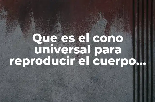 Que es el Cono Universal para Reproducir el Cuerpo Humano