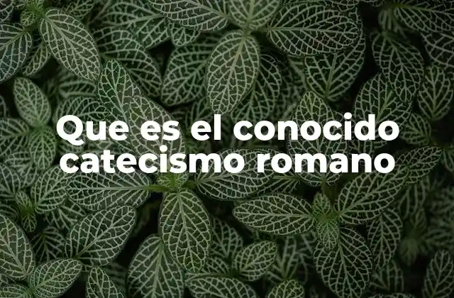 Que es el Conocido Catecismo Romano