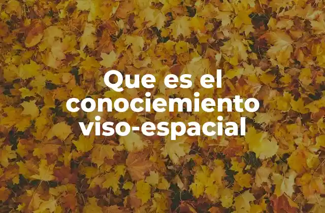 Que es el Conociemiento Viso-espacial