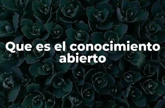 Que es el Conocimiento Abierto
