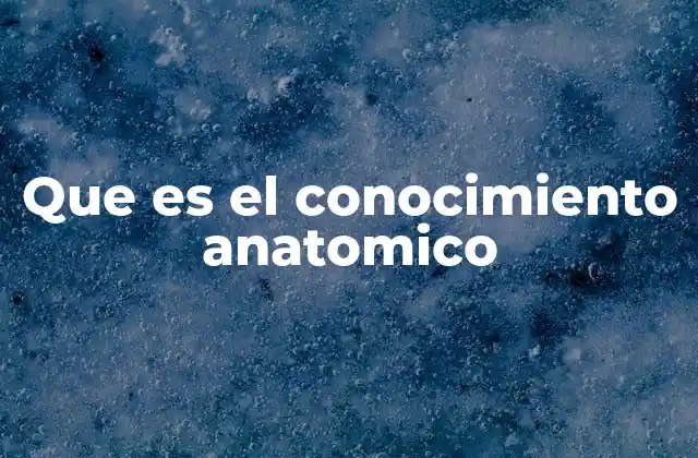 Que es el Conocimiento Anatomico