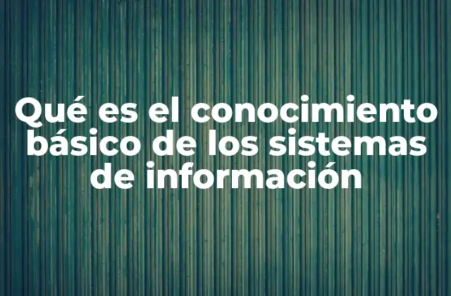 Qué es el Conocimiento Básico de los Sistemas de Información