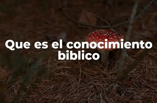 Que es el Conocimiento Biblico 2 El valor del conocimiento bíblico en la vida personal y comunitaria