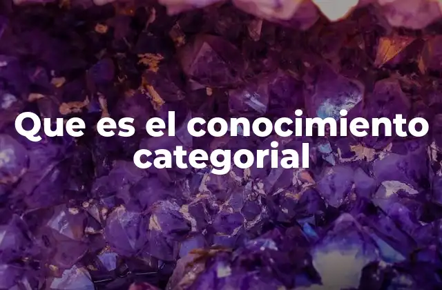 Que es el Conocimiento Categorial 2 El papel del conocimiento categorial en la estructuración del pensamiento humano