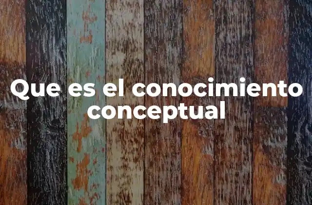 Que es el Conocimiento Conceptual