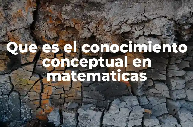 La importancia de entender las ideas matemáticas detrás de los procedimientos