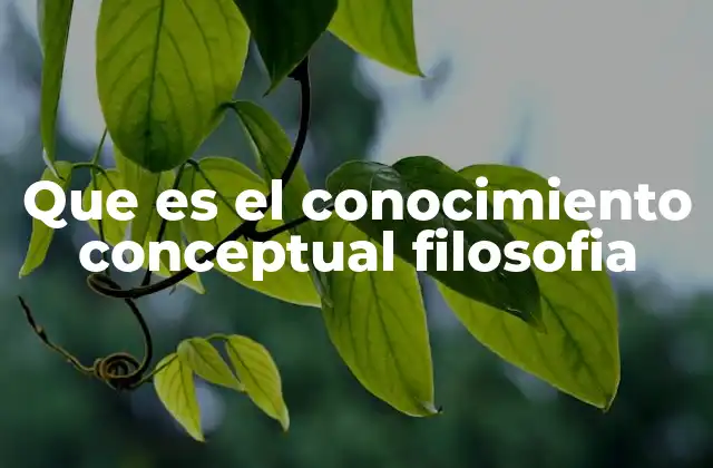 Que es el Conocimiento Conceptual Filosofia