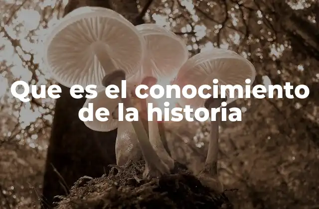 Que es el Conocimiento de la Historia