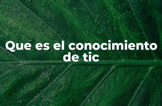 Que es el Conocimiento de Tic