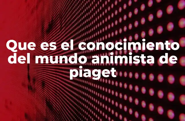 Que es el Conocimiento Del Mundo Animista de Piaget