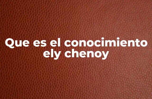 Que es el Conocimiento Ely Chenoy