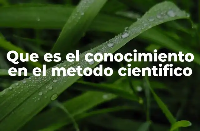 Que es el Conocimiento en el Metodo Cientifico