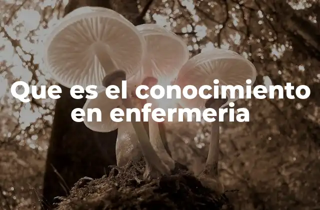 Que es el Conocimiento en Enfermeria