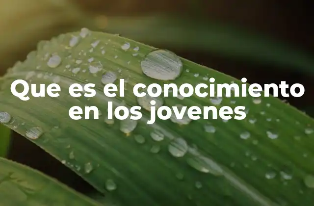 El papel del conocimiento en el desarrollo juvenil