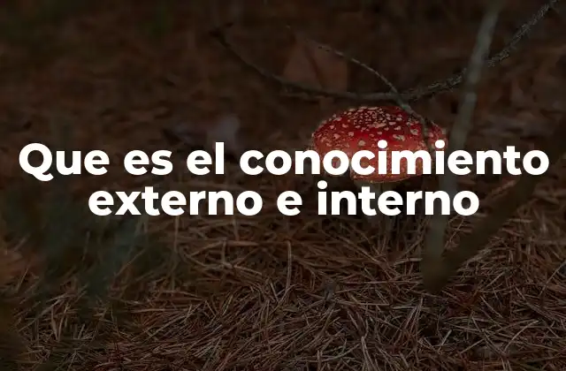 La importancia del equilibrio entre fuentes externas e internas