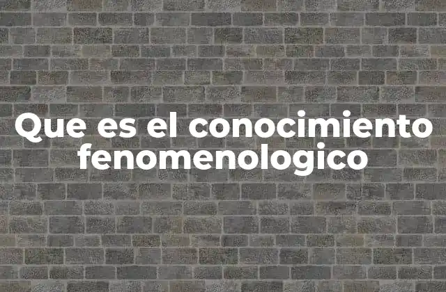 Que es el Conocimiento Fenomenologico