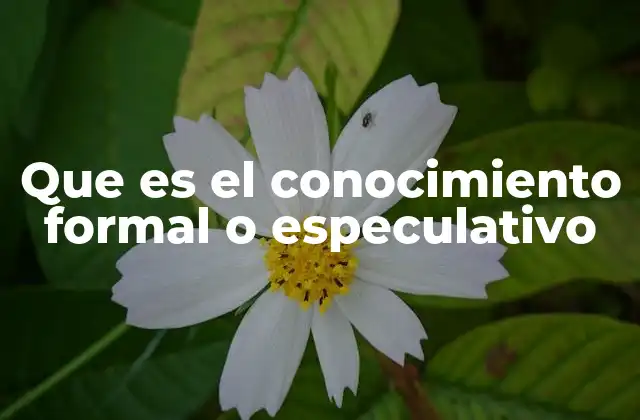 Que es el Conocimiento Formal o Especulativo